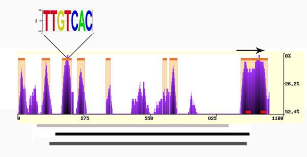 https://cdn.ncbi.nlm.nih.gov/pmc/blobs/6bdc/3017846/4f90e6f14f27/1471-2229-10-260-4.jpg