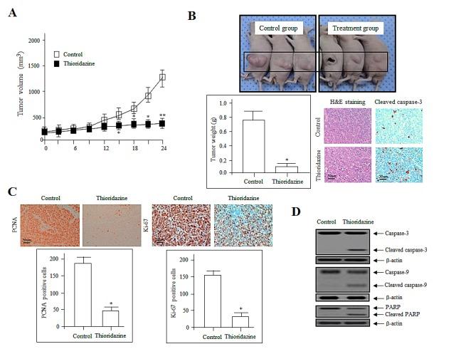 https://cdn.ncbi.nlm.nih.gov/pmc/blobs/6bdc/4148111/4441ba0d9633/oncotarget-05-4929-g001.jpg