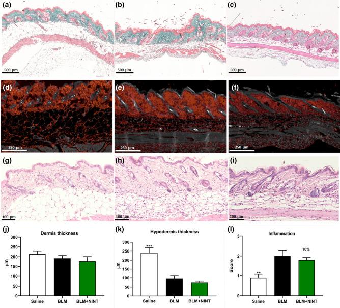 https://cdn.ncbi.nlm.nih.gov/pmc/blobs/6bdd/8445948/7e5a513d97d8/41598_2021_97728_Fig5_HTML.jpg