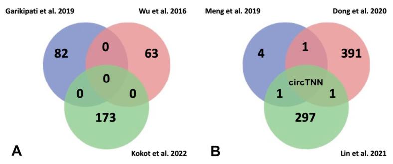 https://cdn.ncbi.nlm.nih.gov/pmc/blobs/6bdd/9775550/c2e05392f4d1/biomedicines-10-03076-g004.jpg