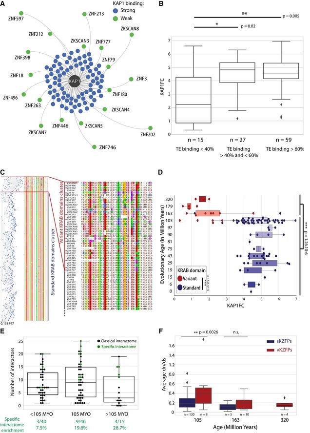 https://cdn.ncbi.nlm.nih.gov/pmc/blobs/6bde/6745500/5778356ee6b0/EMBJ-38-e101220-g008.jpg