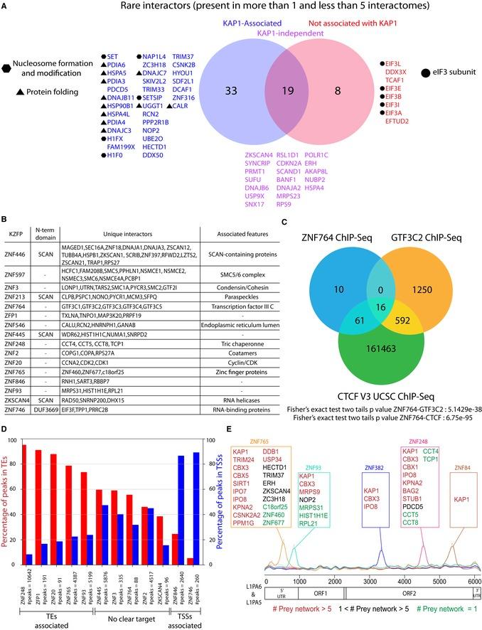 https://cdn.ncbi.nlm.nih.gov/pmc/blobs/6bde/6745500/9e2f17766b8b/EMBJ-38-e101220-g006.jpg