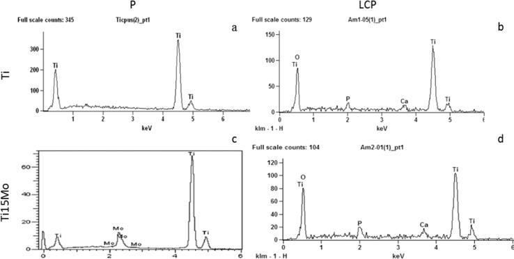 https://cdn.ncbi.nlm.nih.gov/pmc/blobs/6bdf/8128786/08836767a7db/10856_2021_6528_Fig2_HTML.jpg
