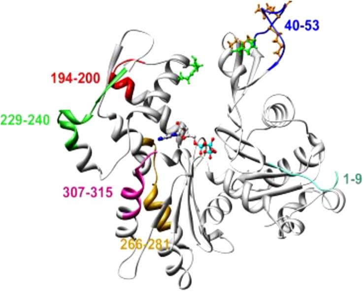 https://cdn.ncbi.nlm.nih.gov/pmc/blobs/6be3/7581878/2b581711538a/fcell-08-587685-g003.jpg