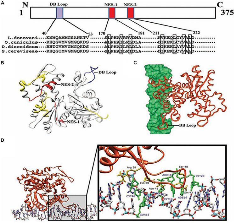 https://cdn.ncbi.nlm.nih.gov/pmc/blobs/6be3/7581878/c5a090b9cc5d/fcell-08-587685-g005.jpg