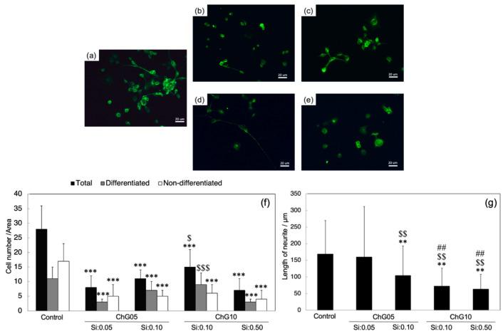 https://cdn.ncbi.nlm.nih.gov/pmc/blobs/6be5/10422348/49acc6529ad7/polymers-15-03272-g007.jpg