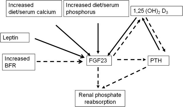 https://cdn.ncbi.nlm.nih.gov/pmc/blobs/6be9/4421439/529c6d78883e/ndtplussfr029f02_lw.jpg