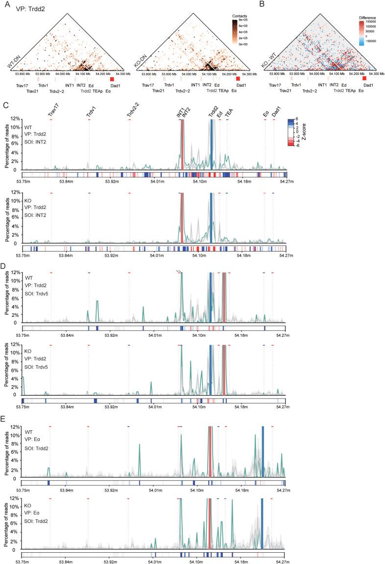 https://cdn.ncbi.nlm.nih.gov/pmc/blobs/6beb/12310595/536b05eb0a62/fimmu-16-1613621-g005.jpg
