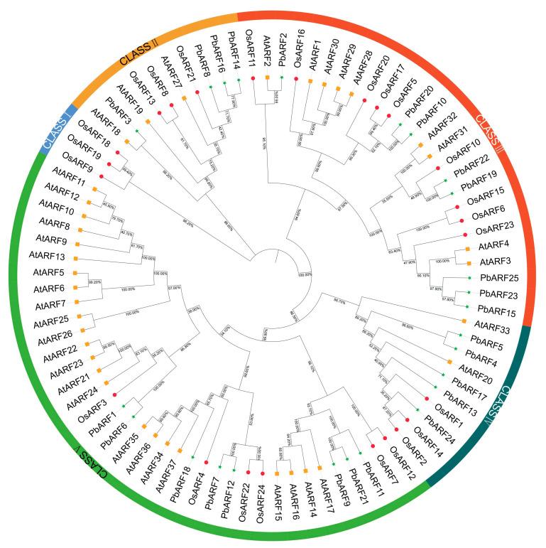 https://cdn.ncbi.nlm.nih.gov/pmc/blobs/6bf0/12027883/c0257d43899a/ijms-26-03701-g002.jpg