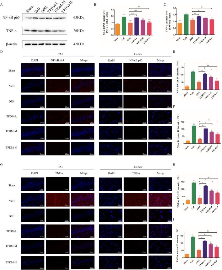 https://cdn.ncbi.nlm.nih.gov/pmc/blobs/6bf0/12364899/33cdf4943cbe/fphar-16-1640272-g006.jpg