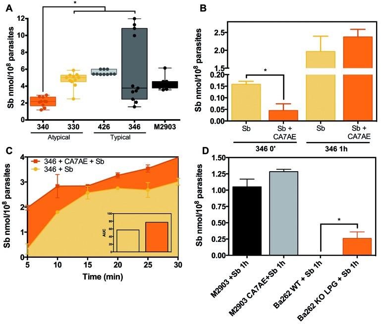 https://cdn.ncbi.nlm.nih.gov/pmc/blobs/6bf0/6697410/fecde786d53f/1678-8060-mioc-114-e190111-gf3.jpg