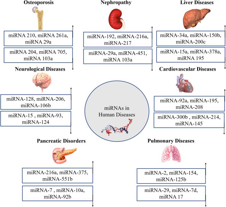 https://cdn.ncbi.nlm.nih.gov/pmc/blobs/6bf3/11717654/367b6361165f/IJN-20-25-g0007.jpg