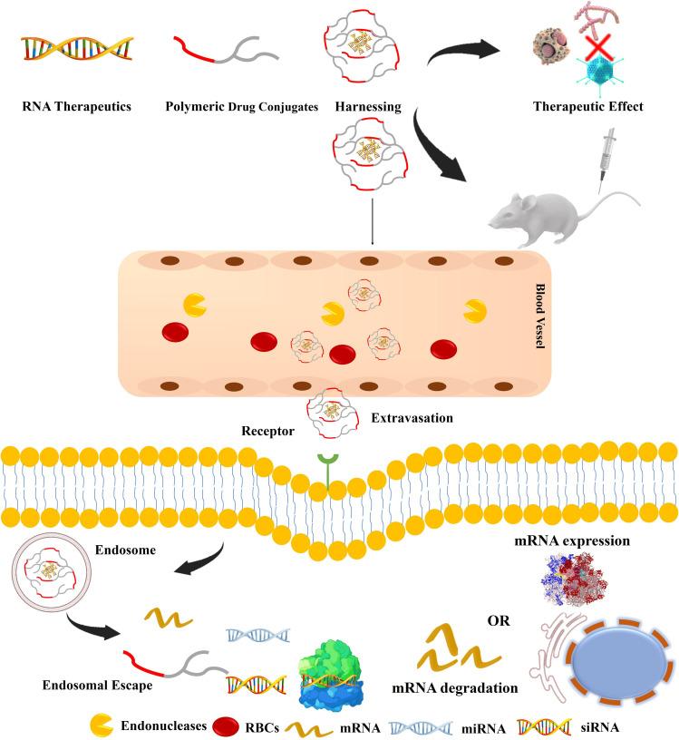 https://cdn.ncbi.nlm.nih.gov/pmc/blobs/6bf3/11717654/3a2b0b853a78/IJN-20-25-g0001.jpg