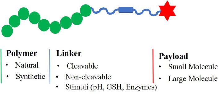 https://cdn.ncbi.nlm.nih.gov/pmc/blobs/6bf3/11717654/77a7740132aa/IJN-20-25-g0008.jpg
