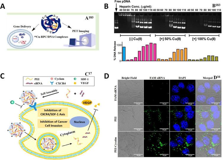 https://cdn.ncbi.nlm.nih.gov/pmc/blobs/6bf3/11717654/86079fc23d73/IJN-20-25-g0009.jpg