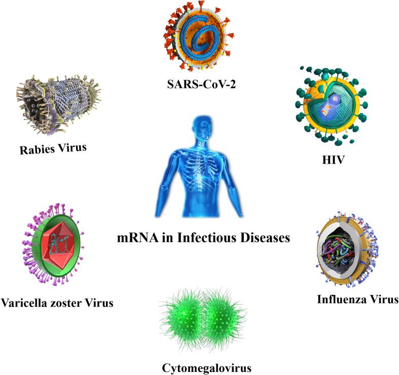 https://cdn.ncbi.nlm.nih.gov/pmc/blobs/6bf3/11717654/b27018fdb2b9/IJN-20-25-g0005.jpg