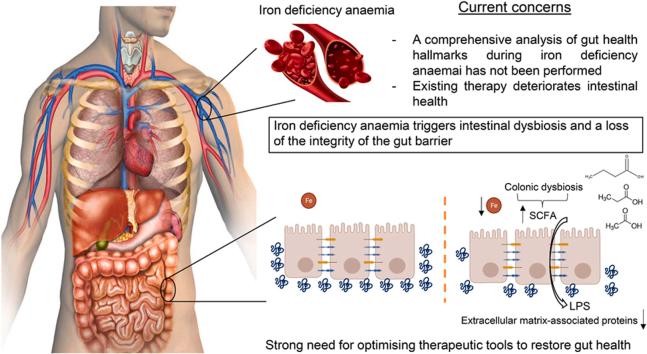 https://cdn.ncbi.nlm.nih.gov/pmc/blobs/6bf4/11550200/509cdafbc410/ga1.jpg