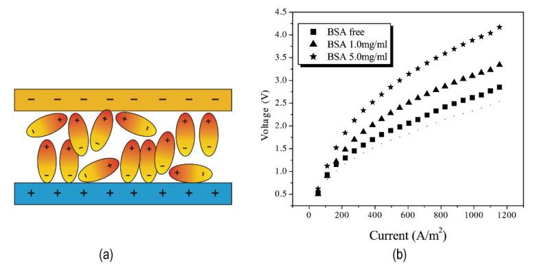 https://cdn.ncbi.nlm.nih.gov/pmc/blobs/6bf4/9416193/1f7981b8a387/nanomaterials-12-02874-g005.jpg