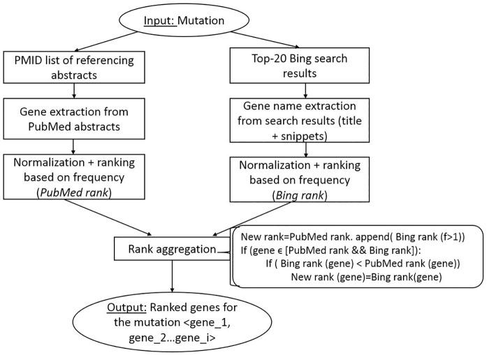 https://cdn.ncbi.nlm.nih.gov/pmc/blobs/6bf5/5130168/748c2075bf44/pcbi.1005017.g003.jpg