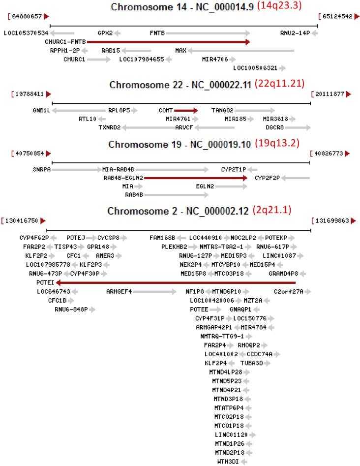 https://cdn.ncbi.nlm.nih.gov/pmc/blobs/6bf5/5835702/59e836fa9884/ijmsv15p0309g002.jpg