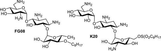 https://cdn.ncbi.nlm.nih.gov/pmc/blobs/6bf7/9537547/741ac186c90c/fmicb-13-1000199-g007.jpg