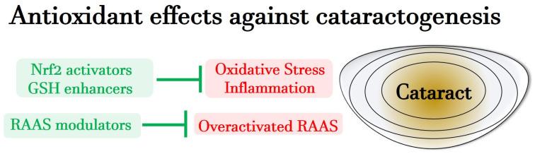 https://cdn.ncbi.nlm.nih.gov/pmc/blobs/6bf9/11505147/2cac029d3231/antioxidants-13-01249-g004.jpg