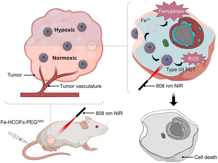 https://cdn.ncbi.nlm.nih.gov/pmc/blobs/6bfa/11468433/830a5825a0f2/IJN-19-10165-g0001.jpg
