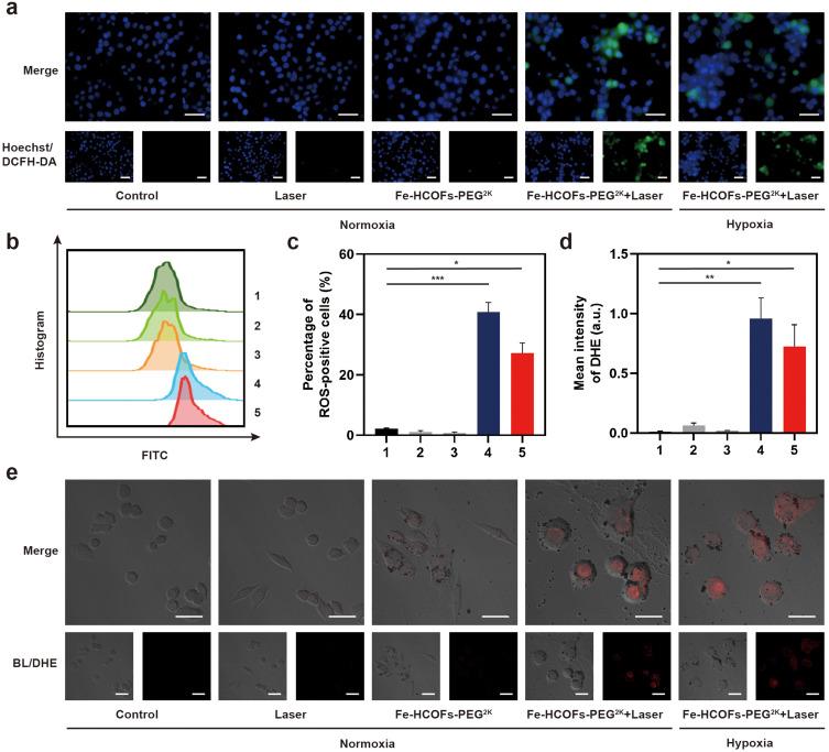 https://cdn.ncbi.nlm.nih.gov/pmc/blobs/6bfa/11468433/db186838aa80/IJN-19-10165-g0006.jpg