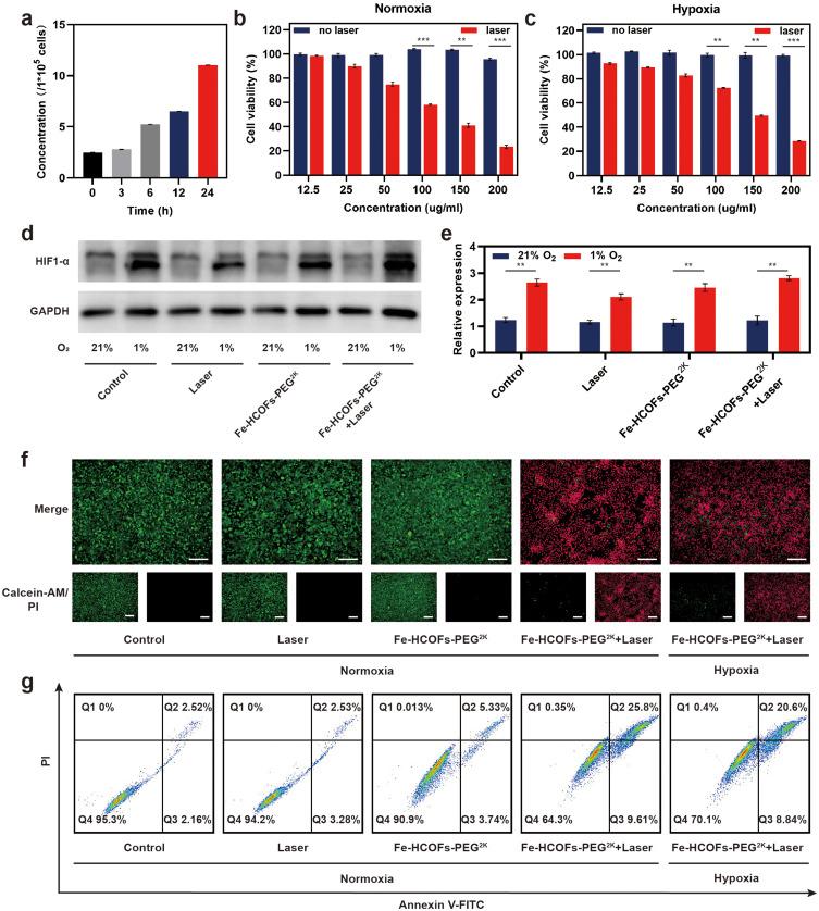 https://cdn.ncbi.nlm.nih.gov/pmc/blobs/6bfa/11468433/e8c5dd92f95c/IJN-19-10165-g0005.jpg