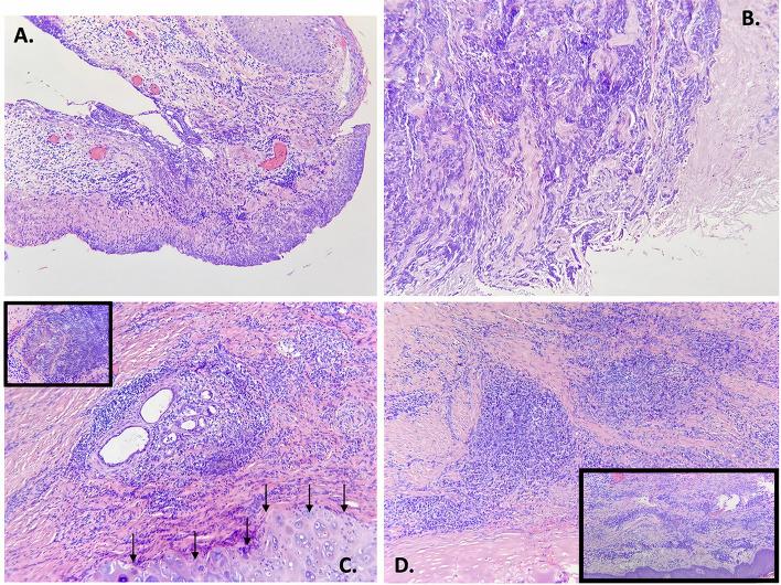 https://cdn.ncbi.nlm.nih.gov/pmc/blobs/6bfd/9701949/bf498bca23f9/12070_2022_3076_Fig2_HTML.jpg