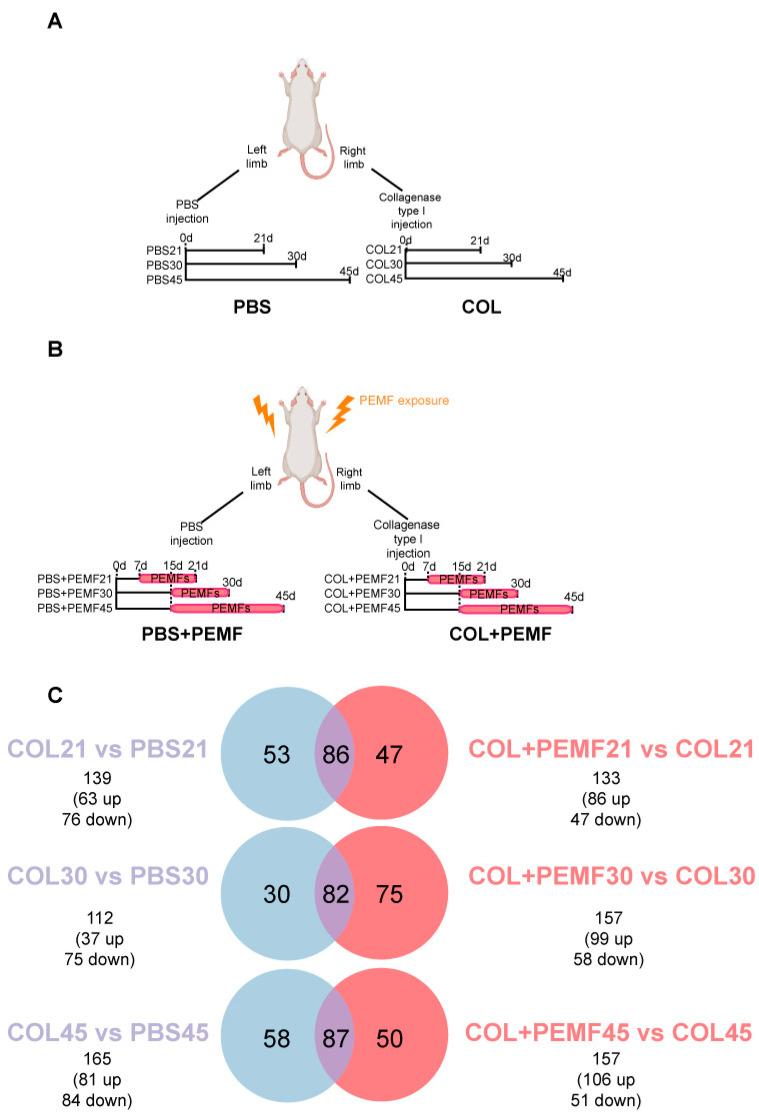 https://cdn.ncbi.nlm.nih.gov/pmc/blobs/6c04/11354614/4056c0c4c88a/ijms-25-08852-g001.jpg