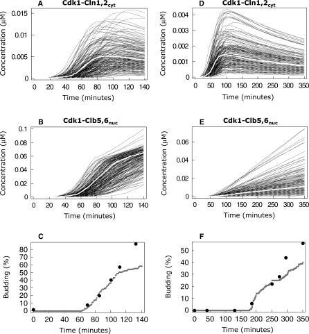https://cdn.ncbi.nlm.nih.gov/pmc/blobs/6c05/1857804/e546c5e710aa/pcbi.0030064.g007.jpg