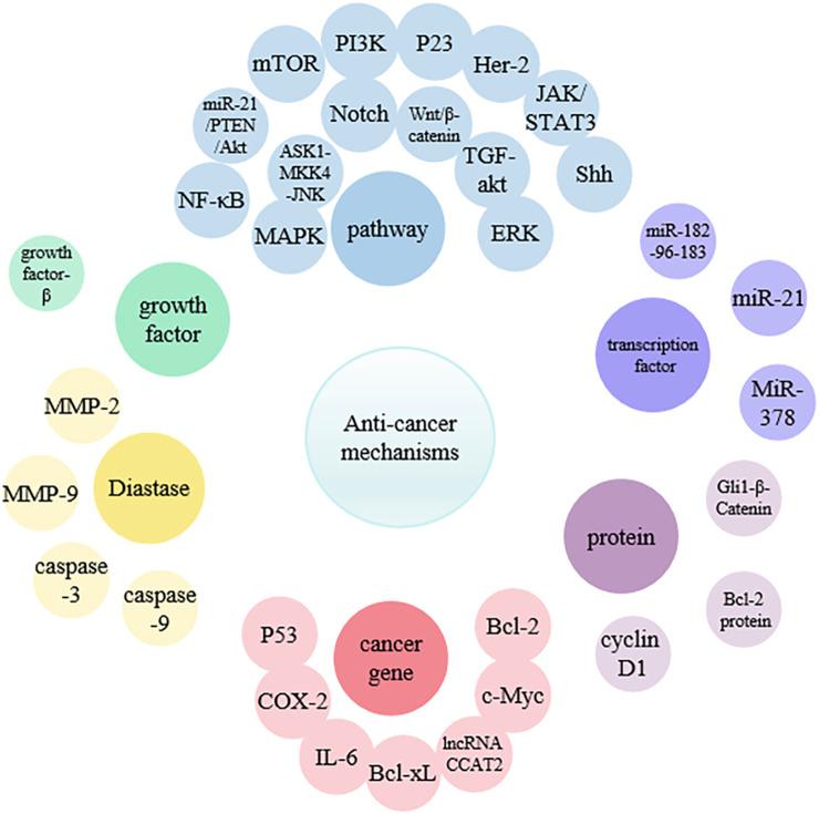 https://cdn.ncbi.nlm.nih.gov/pmc/blobs/6c07/11955698/adf27e241cdb/fphar-16-1509045-g002.jpg
