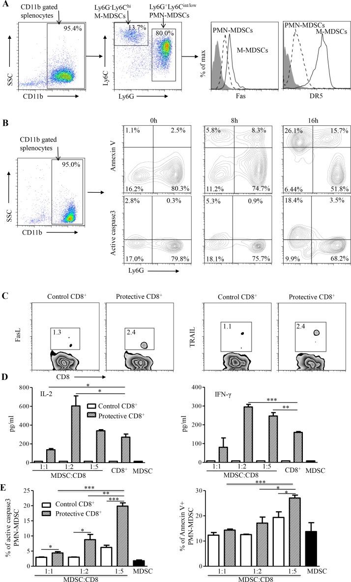 https://cdn.ncbi.nlm.nih.gov/pmc/blobs/6c08/4741703/76fdb264b9b0/oncotarget-06-32426-g006.jpg