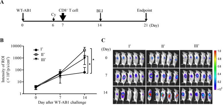https://cdn.ncbi.nlm.nih.gov/pmc/blobs/6c08/4741703/7b8a2573d7fe/oncotarget-06-32426-g004.jpg