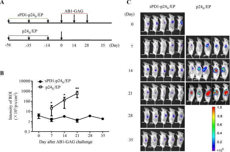 https://cdn.ncbi.nlm.nih.gov/pmc/blobs/6c08/4741703/eb9eaaff4e2c/oncotarget-06-32426-g001.jpg