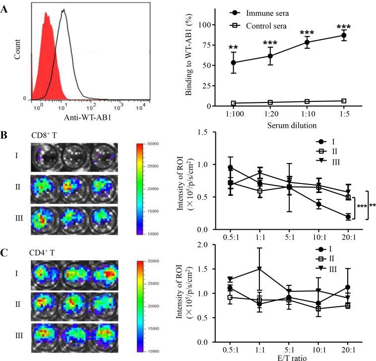 https://cdn.ncbi.nlm.nih.gov/pmc/blobs/6c08/4741703/f1bfda32d54d/oncotarget-06-32426-g002.jpg