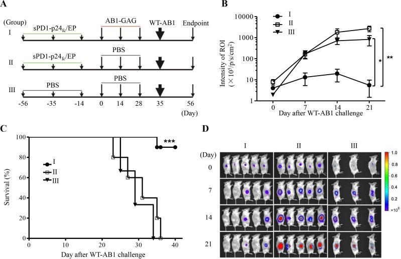 https://cdn.ncbi.nlm.nih.gov/pmc/blobs/6c08/4741703/f95ed57b9cc8/oncotarget-06-32426-g003.jpg