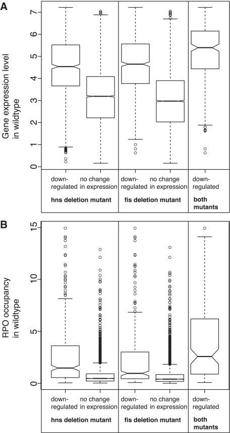 https://cdn.ncbi.nlm.nih.gov/pmc/blobs/6c09/3064808/331253433b9f/gkq934f8.jpg