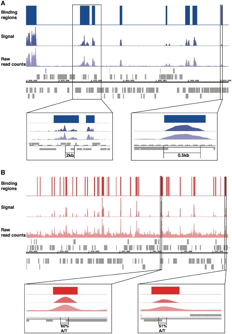 https://cdn.ncbi.nlm.nih.gov/pmc/blobs/6c09/3064808/38802fb190c8/gkq934f1.jpg