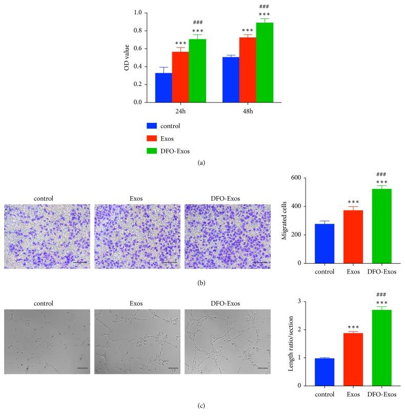 https://cdn.ncbi.nlm.nih.gov/pmc/blobs/6c09/6525840/9a7ade61d3a7/BMRI2019-9742765.002.jpg
