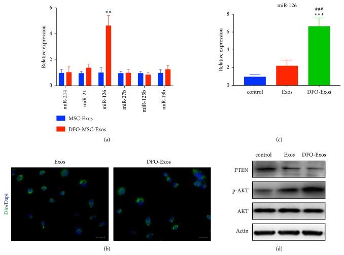 https://cdn.ncbi.nlm.nih.gov/pmc/blobs/6c09/6525840/aaa0531f5cde/BMRI2019-9742765.005.jpg