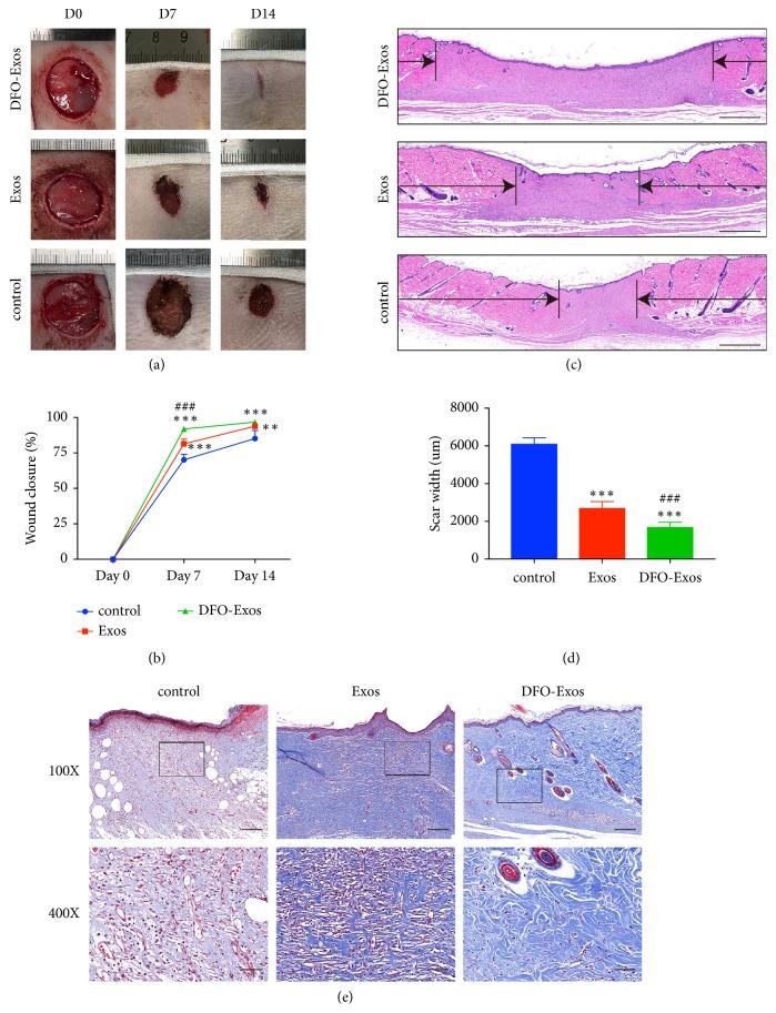 https://cdn.ncbi.nlm.nih.gov/pmc/blobs/6c09/6525840/f3b27f19ec54/BMRI2019-9742765.003.jpg