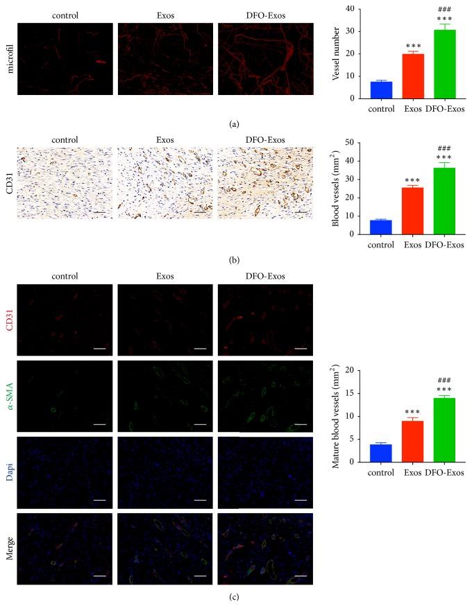 https://cdn.ncbi.nlm.nih.gov/pmc/blobs/6c09/6525840/fab355c9600d/BMRI2019-9742765.004.jpg