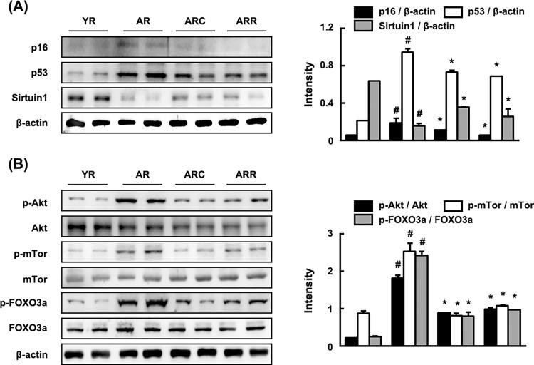 https://cdn.ncbi.nlm.nih.gov/pmc/blobs/6c0a/4331539/1c371ca041ca/pone.0116533.g004.jpg