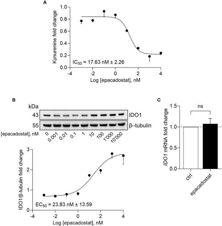 https://cdn.ncbi.nlm.nih.gov/pmc/blobs/6c0e/10850306/fba7c9ed2f5a/fimmu-15-1346686-g001.jpg