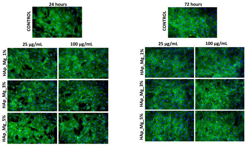 https://cdn.ncbi.nlm.nih.gov/pmc/blobs/6c0f/10381662/446b2a9b1205/jfb-14-00378-g012.jpg