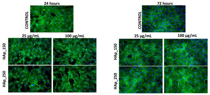 https://cdn.ncbi.nlm.nih.gov/pmc/blobs/6c0f/10381662/974e12b77647/jfb-14-00378-g010.jpg