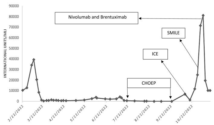 https://cdn.ncbi.nlm.nih.gov/pmc/blobs/6c12/11526580/8a6fb06d57f7/jh-13-229-g015.jpg