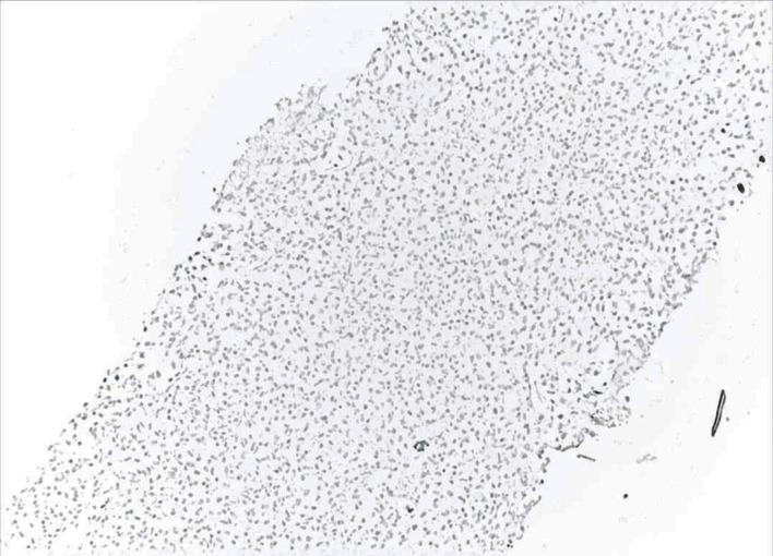 https://cdn.ncbi.nlm.nih.gov/pmc/blobs/6c12/11526580/b9f7385697b6/jh-13-229-g011.jpg